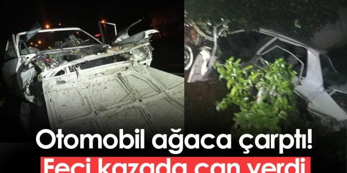 Ordu'da otomobil ağaca çarptı! 1 ölü