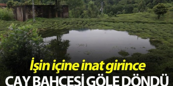 Rize'de iki kişinin inadı çay bahçesini göle döndürdü