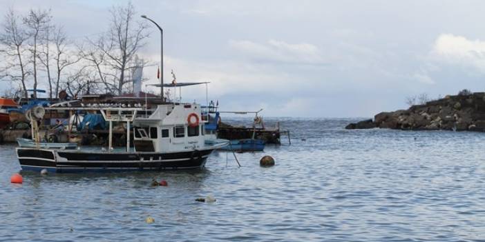 Batı Karadenizli balıkçılar yeni yıldan umutlu.