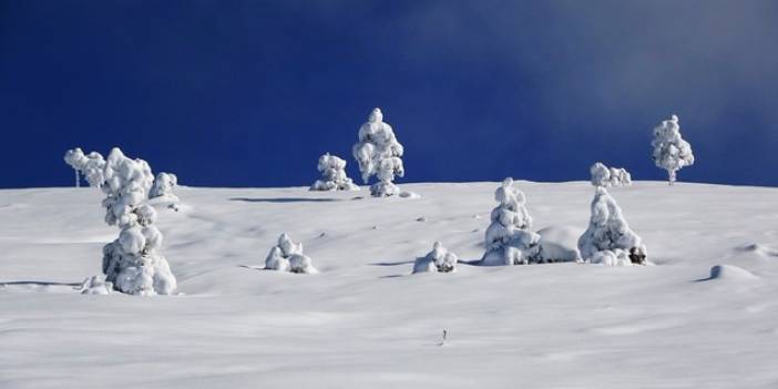 Trabzon yaylalarında kar manzaraları