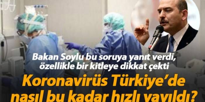 Bakan Soylu yanıtladı; Koronavirüs Türkiye'de nasıl bu kadar hızlı yayıldı?