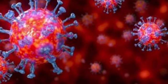 Koronavirüs en uzun hangi sıcaklıkta yaşıyor?