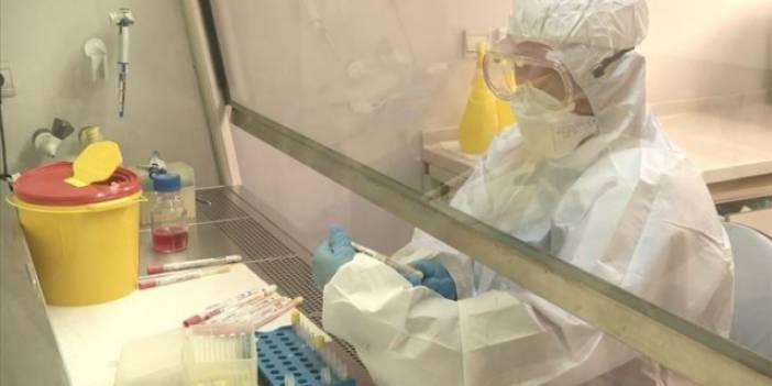 Avustralya koronavirüsle savaş için tüberküloz aşısını test edecek