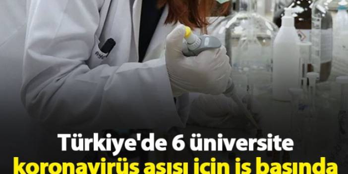 6 üniversite koronavirüs aşısı için çalışıyor.