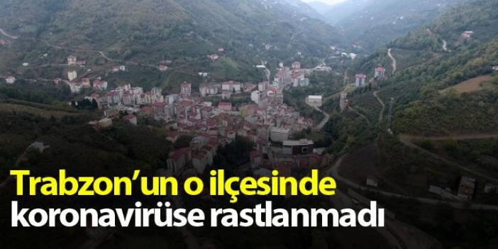 Trabzon'un o ilçesinde koronavirüse rastlanmadı