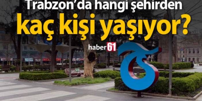 Trabzon'da hangi şehirden kaç kişi yaşıyor?