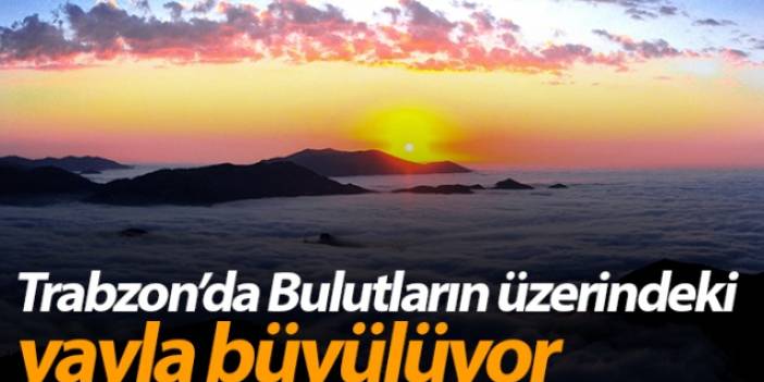 Trabzon'da Bulutların üzerindeki yayla, ziyaretçilerini cezbediyor