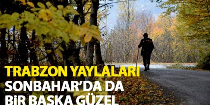 Trabzon Yaylaları Sonbahar'da da bir başka güzel