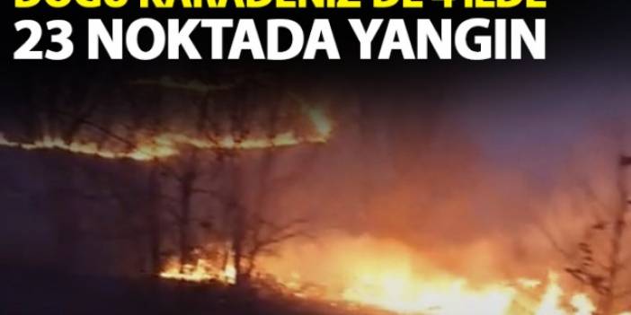 Doğu Karadeniz'de 4 ilde 23 noktada orman yangını