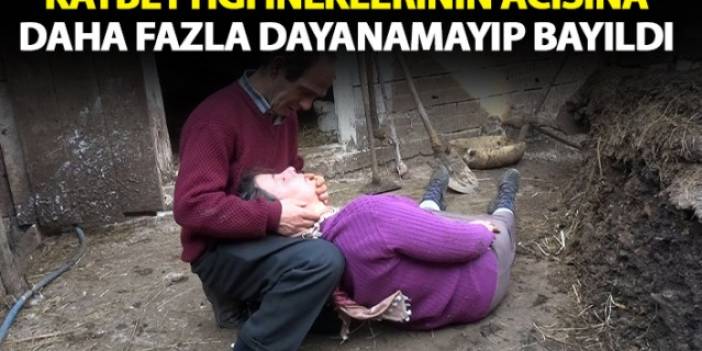 Trabzon'da ölen inekleri için gözyaşı döken kadın bayıldı