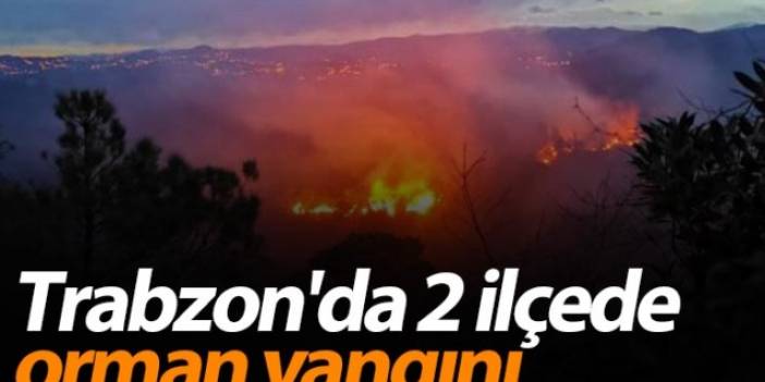 Trabzon'da 2 ilçede orman yangını
