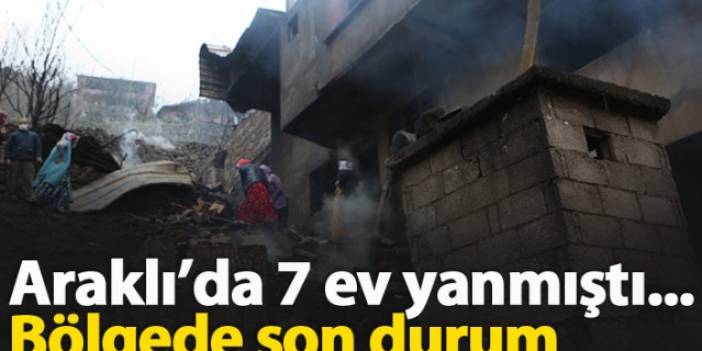 Araklı'da 7 ev yanmıştı, bölgede son durum