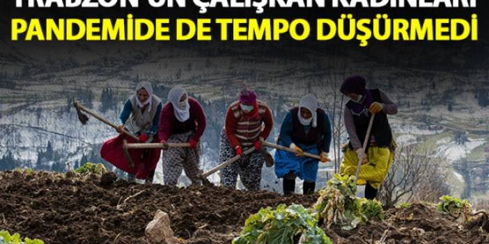 Trabzon'un çalışkan kadınları pandemide de tempo düşürmüyor