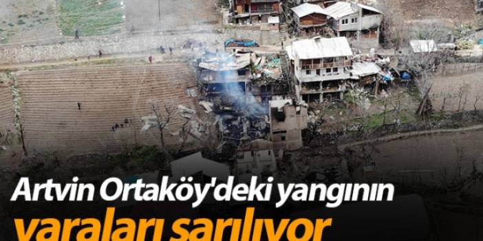Artvin Ortaköy'deki yangının yaraları sarılıyor