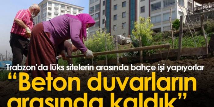 Trabzon'da lüks siteler arasında köy hayatından kopmadılar