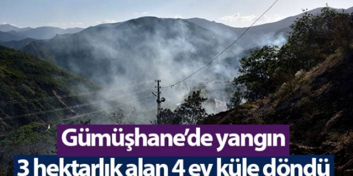 Gümüşhane’de yangın! 3 hektarlık alan 4 ev küle döndü