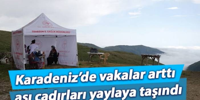 Karadeniz'de vakalar artınca aşı çadırları yaylaya taşındı.