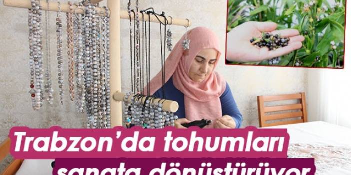 Trabzon'da tohumları sanata dönüştürüyor
