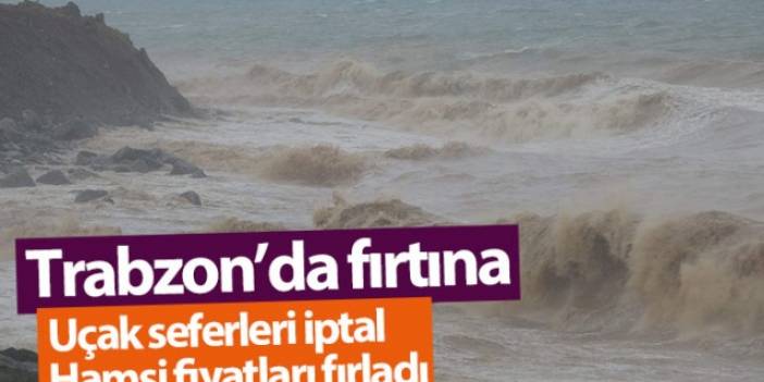 Trabzon'da fırtına! Uçak seferleri iptal, hamsi fiyatları fırladı