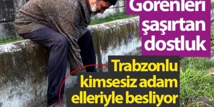 Görenleri şaşırtan dostluk! Trabzonlu kimsesiz adam elleriyle besliyor.
