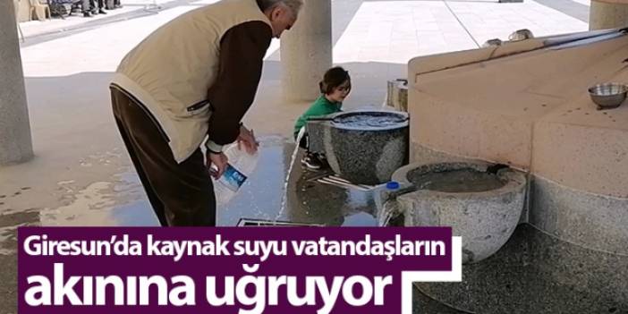 Giresun'da yayladan getirilen kaynak suyu vatandaşların akınına uğruyor. Foto Haber