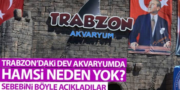 Trabzon'daki dev akvaryumda Hamsi neden yok? İşte sebebi. Foto Galeri
