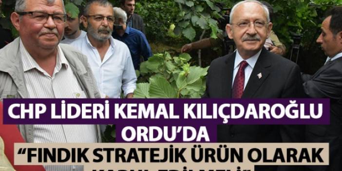 Kemal Kılıçdaroğlu Ordu'da: Fındık stratejik ürün olarak kabul edilmeli. Foto Haber