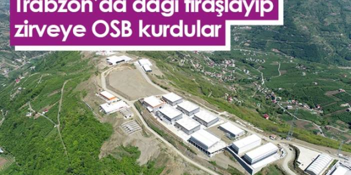 Trabzon'da dağı tıraşlayıp, zirveye OSB kurdular.Foto Haber