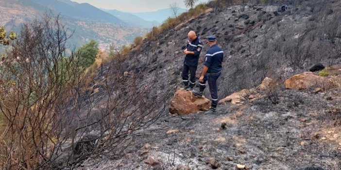 Cezayir’deki orman yangınlarında 26 kişi hayatını kaybetti