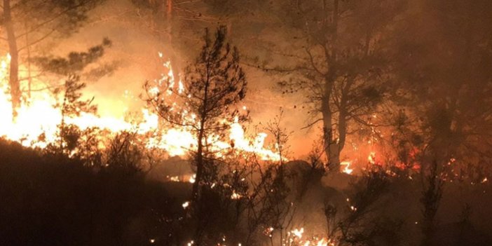 Orman yangınlarının sürdüğü ülkede ölü sayısı 40'ı geçti