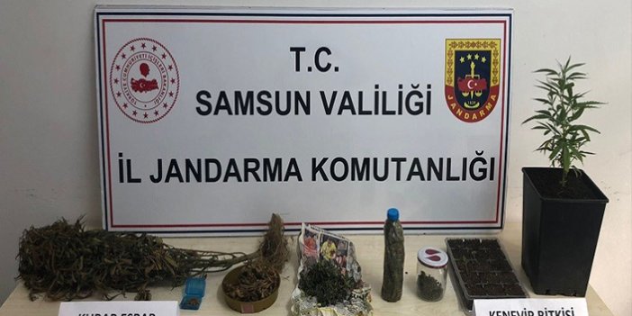 Samsun'da uyuşturucu operasyonlarında 32 zanlı yakalandı