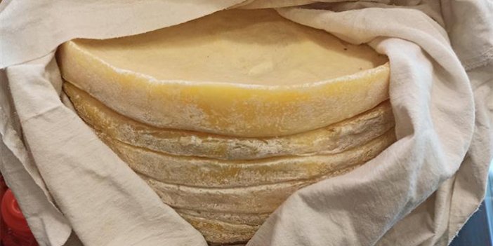 Komşu ilde 14. Coğrafi Tescilli ürün, Çayeli Koloti Peyniri olarak seçildi