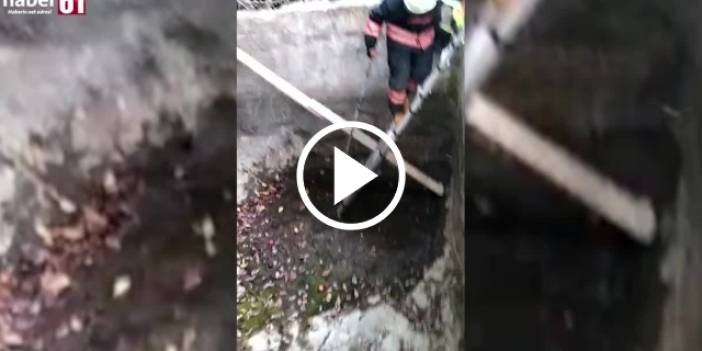 Su kuyusuna düşen porsuk için itfaiye ekipleri seferber oldu. Video Haber