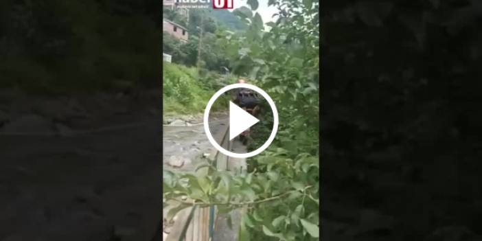 Trabzon itfaiyesi yaralı köpeği kurtardı. Video Haber