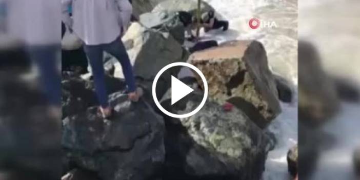 Rize'de kurbanlık boğa denize düştü! Vatandaşlar seferber oldu. Video Haber
