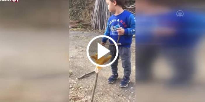 Trabzonlu küçük Mustafa'nın ağaç dallarıyla 'kemençe performansı' - Video Haber