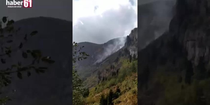 Trabzon'da 10 gündür sönmeyen yangın