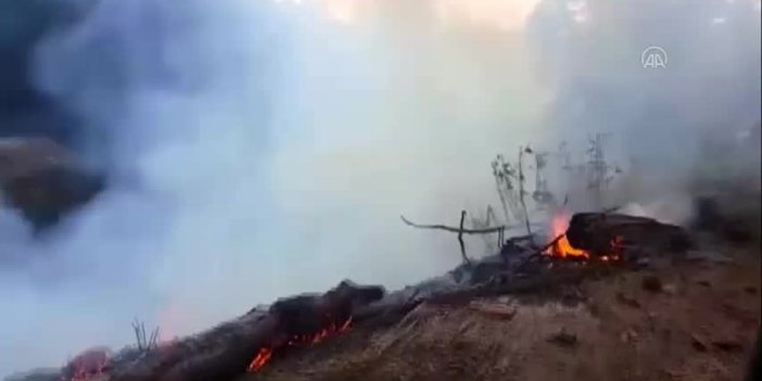 Gümüşhane Örümcek Ormanları'ndaki yangında son durum