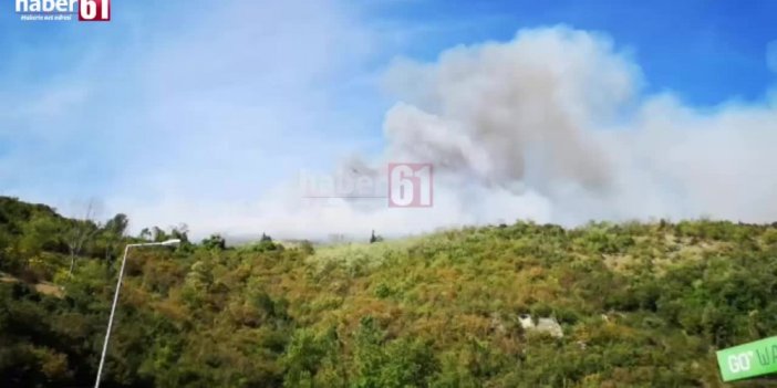 Trabzon'da orman yangınından yeni görüntüler