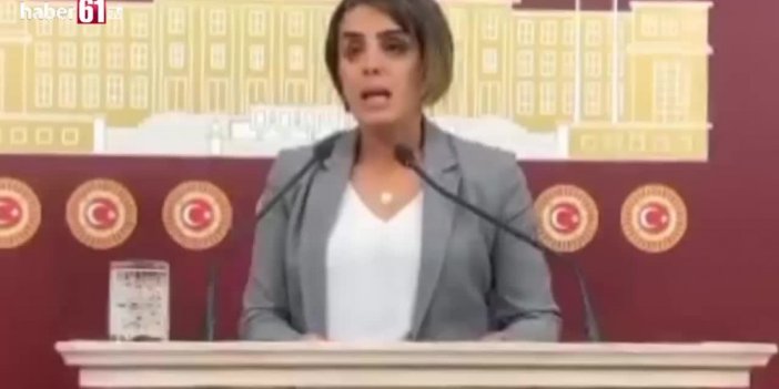 HDP'li Başaran: 'Türkiye'ye çakıl taşı bile atılmadı'
