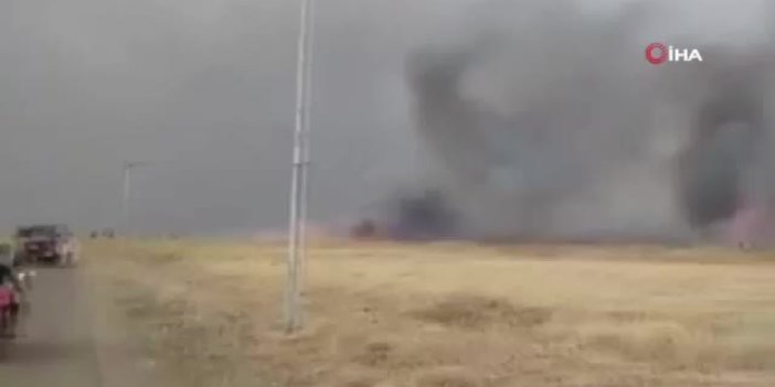 Irak’taki tarla yangınlarında 15 çiftçi öldü