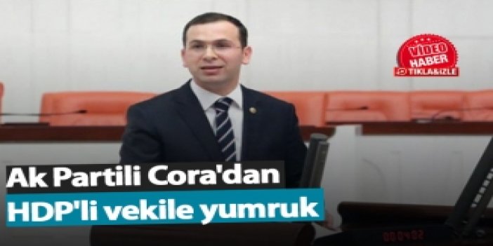 AK Partili Salih Cora ve HDP'li Tuma Çelik’in kavgası böyle görüntülendi