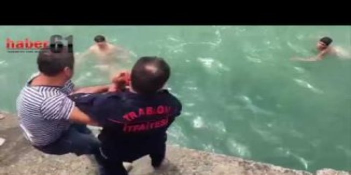 Trabzon'da denize düşen köpeği böyle kurtardılar