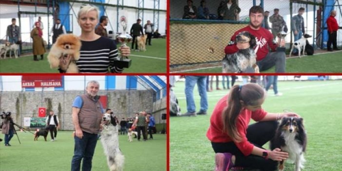 Trabzon'da insanların en sadık dostları yarıştı