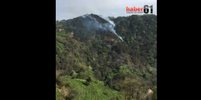 Trabzon'da ormanlık alanda yangın çıktı