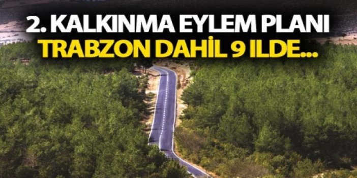 2. Kalkınma Eylem Planı: Trabzon dahil 9 ilde...