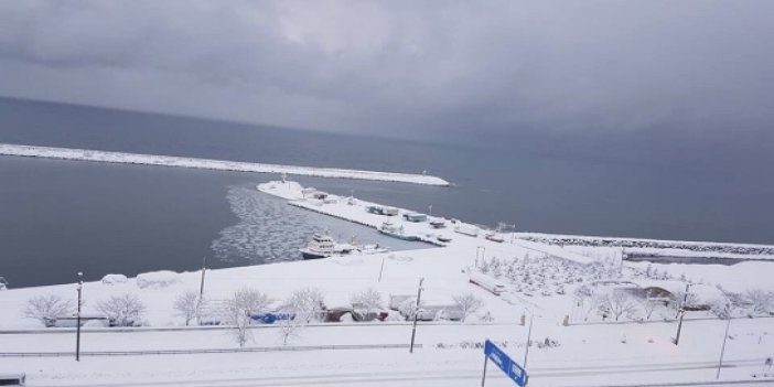 Trabzon'da deniz dondu