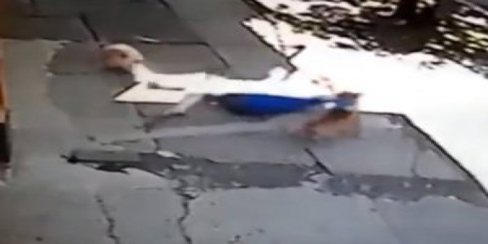 Pitbull kadın ve köpeğine böyle saldırdı