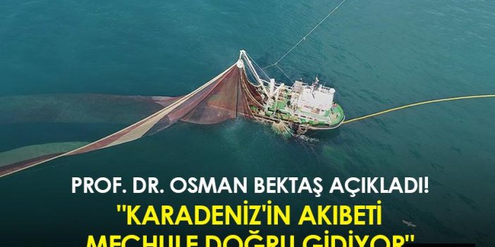 Prof. Dr. Osman Bektaş açıkladı! "Karadeniz'in akıbeti meçhule doğru gidiyor"
