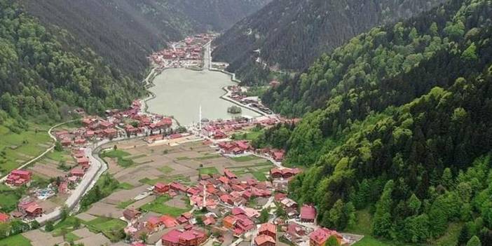 Trabzon Yaylaları: Doğanın Sessiz Sığınağı
